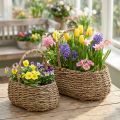 Cesto para plantas com alça cesto para flores L23/35cm conjunto de 2 | Floristik24.pt