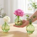 Vasos de vidro pequenos, mini vasos bulbosos, verde, Ø7,5cm, A9cm, 6 peças | Floristik24.pt