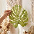 Folhas decorativas de Monstera para decoração boho e estilo selva urbana. | Floristik24.pt