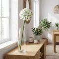 Flor decorativa Allium, bola de alho-poró artificial, cebola decorativa branca Ø20cm C72cm | Floristik24.pt
