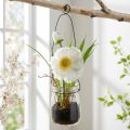 Poppy em um copo para pendurar H22cm branco | Floristik24.pt