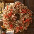 Guirlanda decorativa de flores secas guirlanda de flores laranja creme Ø25cm | Floristik24.pt