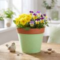 Fita de feltro para vaso verde claro 15cm 5m | Floristik24.pt
