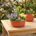 Tigela em Z de plástico Ø22cm 10 peças | Floristik24.pt