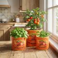 Conjunto de 3 vasos decorativos de cerâmica para tomateiro, ideais para cozinha e decoração retrô, 14 cm de diâmetro. | Floristik24.pt