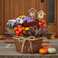 Casinha de pássaros decorativa, bétula, 5 cm, com suporte para flores, 4 peças | Floristik24.pt