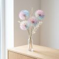 Decoração de dente-de-leão, flor seca, estabilizada e tingida, delicada, durável, 12 cm, 4 peças | Floristik24.pt