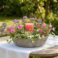 Vaso de salgueiro, branco, com aparência natural, anel decorativo para design criativo de jardins, Ø35/30cm, conjunto de 2, versátil | Floristik24.pt