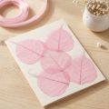 Folhas esqueletizadas, folhas decorativas de salgueiro rosa de 5 a 9 cm, 200 unidades - Ideais para cartões de felicitação e projetos DIY. | Floristik24.pt