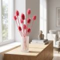 Arranjo decorativo de cardo-selvagem seco, cardos rosa, 53 cm, 10 cabeças. | Floristik24.pt