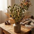 Decoração seca de cardo-morango, verde-oliva, Ø1–2cm, C55cm, 100g | Floristik24.pt