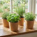 Plantador, vaso de flores, plantador de papel natural Ø15cm H13cm 4pcs | Floristik24.pt