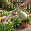 Regador de 9 litros na cor verde-oliva com bico removível, prático para jardinagem e cuidados com flores, robusto, 42 cm | Floristik24.pt