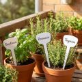 Etiqueta para planta 10cm 100pcs | Floristik24.pt