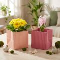 Flor plantador saco de flores rosa salmão 12cmx12cm 6 un | Floristik24.pt