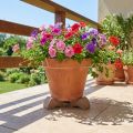 Suporte para vaso de flores, elevador prático, acessório para vasos em varandas e terraços, 7 cm, 3 peças | Floristik24.pt