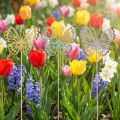 Estaca de jardim borboleta metal tricolor L25cm 6uds | Floristik24.pt