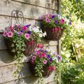 Cesto suspenso de plantas metal ferrugem look H30/33,5/40cm conjunto de 3 | Floristik24.pt