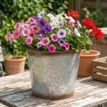 Vaso de plantas com alças, tigela decorativa com acabamento enferrujado, recipiente de metal prateado Ø26cm A25,5cm | Floristik24.pt