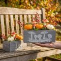 Conjunto de caixa de madeira cogumelo, decorações de outono, decorações de jardim, caixas de plantas L40 / 30cm, conjunto de 2 | Floristik24.pt