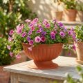 Tigela com base terracota Ø26cm | Floristik24.pt