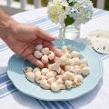 Mexilhão Umachi 500g | Floristik24.pt