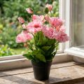 Papoila oriental, flor artificial, papoula em vaso rosa | Floristik24.pt