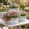Vaso para plantas, recipiente de metal com padrão de renda, vaso decorativo oval, branco e prateado, estilo shabby chic, C41,5/35/29,5cm A19/16/14,5cm, conjunto de 3 | Floristik24.pt
