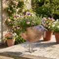 Vaso de Flores Frango Metal Pássaro Metálico Rosé 51×16×37cm | Floristik24.pt