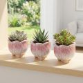Mini plantador vaso de cerâmica flores sortidas Ø8cm H7cm 3pcs | Floristik24.pt