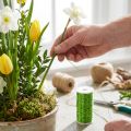 Arame decorativo com efeito de caldo, Ø0,30mm, 100g, 140m, verde maçã, para floristas e artesanato. | Floristik24.pt