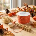 Fio de papel enrolado Ø2mm 100m Laranja | Floristik24.pt
