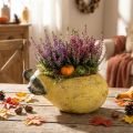 Vaso decorativo em formato de pera, ideal para plantas de outono, feito de concreto, 25×13×11cm | Floristik24.pt