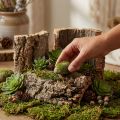 Conjunto de 5 peças de casca de cortiça natural para artesanato e decoração, 30x20cm | Floristik24.pt
