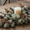 Musgo decorativo, musgo natural cinza para artesanato, seco e tingido, 500g | Floristik24.pt