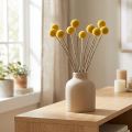 Craspedia flores secas, amarelas, 70cm, decorativas, 10 peças | Floristik24.pt