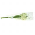 Floristik24 Flores do tabuleiro de xadrez Fritillaria artificial branco, verde 40cm 12pcs