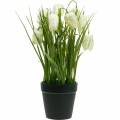 Floristik24 Fritillaria em vaso, flor xadrez verde e branca, flor artificial