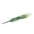 Floristik24 Foxtail verde grama, branco 63 cm