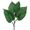Floristik24 Philodendron árvore artificial amigo plantas artificiais verde 39cm