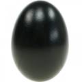 Floristik24 Ovos de ganso Ovos pretos estourados Decoração de Páscoa 12 unidades
