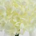 Floristik24 Hortênsia ramo de flores artificiais brancas L27cm