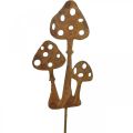 Floristik24 Plugue de jardim patina plugue decorativo de cogumelo 10cm 6uds