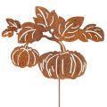 Floristik24 Estaca de jardim com motivo de abóbora, decoração em metal, acabamento enferrujado, 100 cm