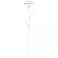 Floristik24 Flor plug de jardim, decoração de jardim, plugue de planta feito de metal branco chique gasto, prata L52cm Ø10cm 2pcs