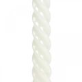 Floristik24 Velas torcidas velas em espiral creme Ø2.2cm A30cm 2uds