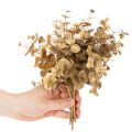 Ramo decorativo artificial de eucalipto, na cor dourada, para decoração de mesa, 24 cm | Floristik24.pt