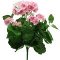 Floristik24 Flor artificial de gerânio Arbusto de gerânio rosa artificial 7 flores Alt.38cm