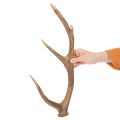 Chifres artificiais decorativos, decoração rústica para cabana, 50cm | Floristik24.pt