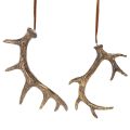 Floristik24 Pingentes decorativos rústicos em forma de chifre para parede ou árvore, 15 cm, conjunto de 6 peças
